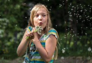 child blowing dandelion